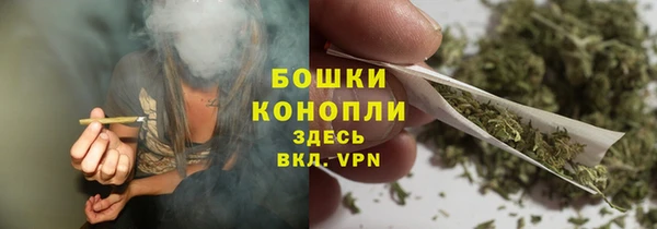 PSILOCYBIN Белокуриха